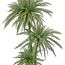 Fern Palm 1.75m triple-stem - artificial plants, flowers & trees - image 1